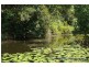 441 Gold Creek Road, Brookfield QLD 4069